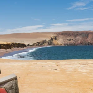 Tour Reserva Nacional de Paracas (Privado – 4 Personas)