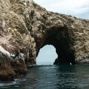 Tour Islas Ballestas - Descubre la Vida Marina de Paracas