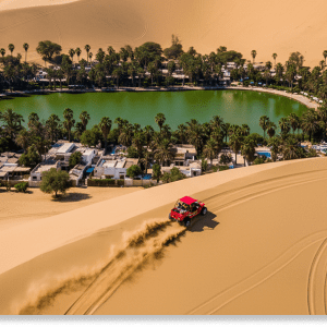 Full Day Paracas – Islas Ballestas + Reserva Nacional (Grupal)