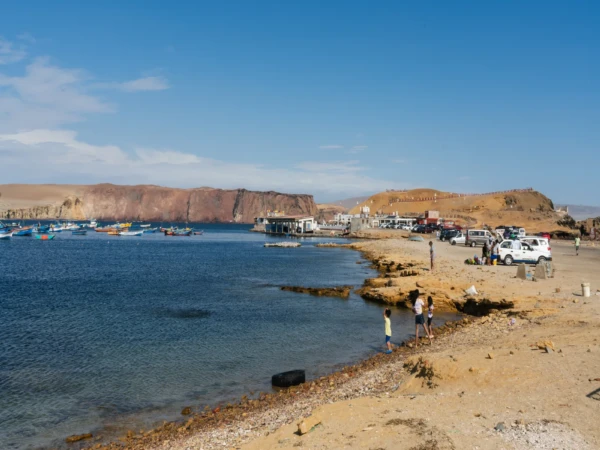 Tour Paracas | Reserva Nacional (Privado – 4 Personas)